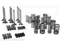 Valves/Guides/Springs