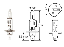 R466 24v 70w H1 P14.5s