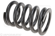 VPA2005 - Valve Spring Pack of 8