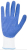 Palm Palm