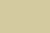 Paint Colour Paint Colour