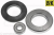 bearings back bearings back