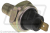 Terminal end Terminal end
