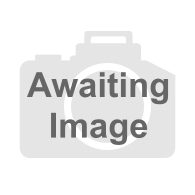 TVH/24881103 Roof Lamp Housing Screw TVH/24881103 Roof Lamp Housing Screw