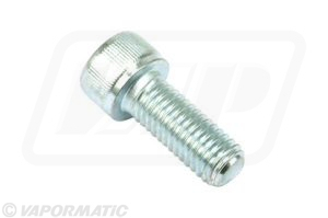 VLG5661 Cap socket screw M10 x 25mm