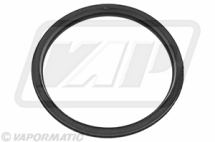 VPE4393 Thermostat Seal