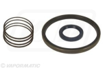 Driveshaft seal kit