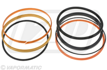 VPK8203 Auxiliary Ram Seal Kit VPK8203 Auxiliary Ram Seal Kit