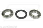 VPN3076 Wheel bearing kit